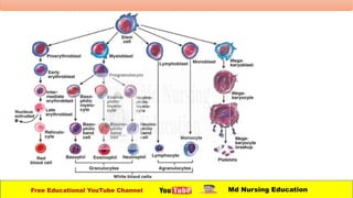 Free Educational YouTube Channel Md Nursing Education
 