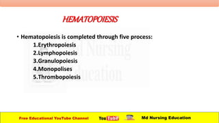 HEMATOPOIESIS
• Hematopoiesis is completed through five process:
1.Erythropoiesis
2.Lymphopoiesis
3.Granulopoiesis
4.Monopolises
5.Thrombopoiesis
Free Educational YouTube Channel Md Nursing Education
 