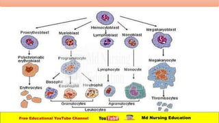 Free Educational YouTube Channel Md Nursing Education
 