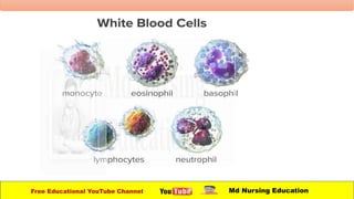Free Educational YouTube Channel Md Nursing Education
 