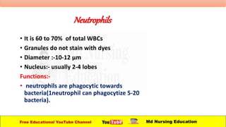 Neutrophils
• It is 60 to 70% of total WBCs
• Granules do not stain with dyes
• Diameter :-10-12 µm
• Nucleus:- usually 2-4 lobes
Functions:-
• neutrophils are phagocytic towards
bacteria(1neutrophil can phagocytize 5-20
bacteria).
Free Educational YouTube Channel Md Nursing Education
 