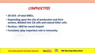 LYMPHOCYTES
• 20-25% of total WBCs.
• Depending upon the site of production and their
actions, divided into T,B cells and natural killer cells.
• Nucleus :-Will be round shaped
• Functions:-play important role in immunity.
Free Educational YouTube Channel Md Nursing Education
 