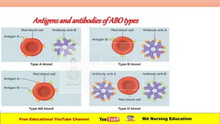 Antigensand antibodies of ABOtypes
Free Educational YouTube Channel Md Nursing Education
 