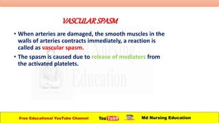 VASCULARSPASM
• When arteries are damaged, the smooth muscles in the
walls of arteries contracts immediately, a reaction is
called as vascular spasm.
• The spasm is caused due to release of mediators from
the activated platelets.
Free Educational YouTube Channel Md Nursing Education
 