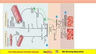 Free Educational YouTube Channel Md Nursing Education
 