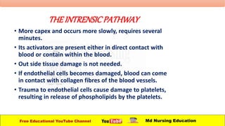 THEINTRENSICPATHWAY
• More capex and occurs more slowly, requires several
minutes.
• Its activators are present either in direct contact with
blood or contain within the blood.
• Out side tissue damage is not needed.
• If endothelial cells becomes damaged, blood can come
in contact with collagen fibres of the blood vessels.
• Trauma to endothelial cells cause damage to platelets,
resulting in release of phospholipids by the platelets.
Free Educational YouTube Channel Md Nursing Education
 