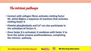 Theintrinsicpathways
• Contact with collagen fibres activates clotting factor
XII, which begins a sequence of reactions that activates
clotting factor X.
• Platelet phospholipids and Ca² can also participate in
the activation of factors X.
• Once factor X is activated, it combines with factor V to
form the active enzyme prothrombinase, completing
the intrinsic pathway.
Free Educational YouTube Channel Md Nursing Education
 