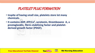 PLATELETPLUGFORMATION
• Inspite of having small size, platelets store lot many
chemicals.
• It contains ADP, ATP,Ca², serotonin, thromboxane A, a
prostaglandin, fibrin-stabilizing factor and platelet-
derived growth factor (PDGF).
Free Educational YouTube Channel Md Nursing Education
 