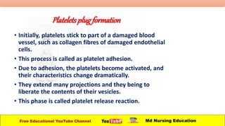 Platelets plugformation
• Initially, platelets stick to part of a damaged blood
vessel, such as collagen fibres of damaged endothelial
cells.
• This process is called as platelet adhesion.
• Due to adhesion, the platelets become activated, and
their characteristics change dramatically.
• They extend many projections and they being to
liberate the contents of their vesicles.
• This phase is called platelet release reaction.
Free Educational YouTube Channel Md Nursing Education
 