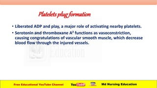 Plateletsplugformation
• Liberated ADP and play, a major role of activating nearby platelets.
• Serotonin and thromboxane A² functions as vasoconstriction,
causing congratulations of vascular smooth muscle, which decrease
blood flow through the injured vessels.
Free Educational YouTube Channel Md Nursing Education
 