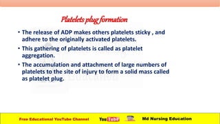 Platelets plugformation
• The release of ADP makes others platelets sticky , and
adhere to the originally activated platelets.
• This gathering of platelets is called as platelet
aggregation.
• The accumulation and attachment of large numbers of
platelets to the site of injury to form a solid mass called
as platelet plug.
Free Educational YouTube Channel Md Nursing Education
 