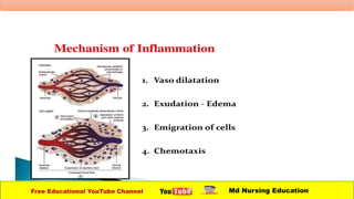 Free Educational YouTube Channel Md Nursing Education
 