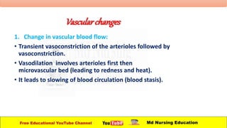Vascularchanges
1. Change in vascular blood flow:
• Transient vasoconstriction of the arterioles followed by
vasoconstriction.
• Vasodilation involves arterioles first then
microvascular bed (leading to redness and heat).
• It leads to slowing of blood circulation (blood stasis).
Free Educational YouTube Channel Md Nursing Education
 