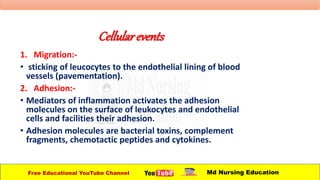 Cellularevents
1. Migration:-
• sticking of leucocytes to the endothelial lining of blood
vessels (pavementation).
2. Adhesion:-
• Mediators of inflammation activates the adhesion
molecules on the surface of leukocytes and endothelial
cells and facilities their adhesion.
• Adhesion molecules are bacterial toxins, complement
fragments, chemotactic peptides and cytokines.
Free Educational YouTube Channel Md Nursing Education
 