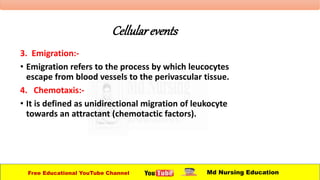 Cellularevents
3. Emigration:-
• Emigration refers to the process by which leucocytes
escape from blood vessels to the perivascular tissue.
4. Chemotaxis:-
• It is defined as unidirectional migration of leukocyte
towards an attractant (chemotactic factors).
Free Educational YouTube Channel Md Nursing Education
 