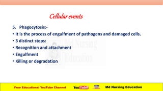 Cellularevents
5. Phagocytosis:-
• It is the process of engulfment of pathogens and damaged cells.
• 3 distinct steps:
• Recognition and attachment
• Engulfment
• Killing or degradation
Free Educational YouTube Channel Md Nursing Education
 