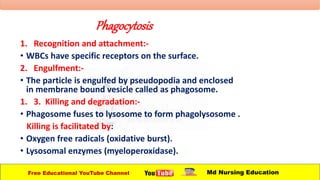 Phagocytosis
1. Recognition and attachment:-
• WBCs have specific receptors on the surface.
2. Engulfment:-
• The particle is engulfed by pseudopodia and enclosed
in membrane bound vesicle called as phagosome.
1. 3. Killing and degradation:-
• Phagosome fuses to lysosome to form phagolysosome .
Killing is facilitated by:
• Oxygen free radicals (oxidative burst).
• Lysosomal enzymes (myeloperoxidase).
Free Educational YouTube Channel Md Nursing Education
 
