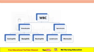 WBC
Granulocytes
Eosinophils Basophils Neutrophils
Agranulocytes
Lymphocytes Monocytes
Free Educational YouTube Channel Md Nursing Education
 