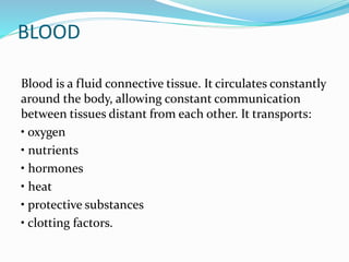BLOOD
Blood is a fluid connective tissue. It circulates constantly
around the body, allowing constant communication
between tissues distant from each other. It transports:
• oxygen
• nutrients
• hormones
• heat
• protective substances
• clotting factors.
 