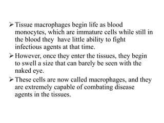 Tissue macrophages begin life as blood
monocytes, which are immature cells while still in
the blood they have little ability to fight
infectious agents at that time.
However, once they enter the tissues, they begin
to swell a size that can barely be seen with the
naked eye.
These cells are now called macrophages, and they
are extremely capable of combating disease
agents in the tissues.
 