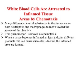 White Blood Cells Are Attracted to
Inflamed Tissue
Areas by Chemotaxis
 Many different chemical substances in the tissues cause
both neutrophils and macrophages to move toward the
source of the chemical.
 This phenomenon is known as chemotaxis.
 When a tissue becomes inflamed, at least a dozen different
products that can cause chemotaxis toward the inflamed
area are formed.
 