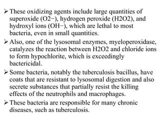 These oxidizing agents include large quantities of
superoxide (O2−), hydrogen peroxide (H2O2), and
hydroxyl ions (OH−), which are lethal to most
bacteria, even in small quantities.
Also, one of the lysosomal enzymes, myeloperoxidase,
catalyzes the reaction between H2O2 and chloride ions
to form hypochlorite, which is exceedingly
bactericidal.
Some bacteria, notably the tuberculosis bacillus, have
coats that are resistant to lysosomal digestion and also
secrete substances that partially resist the killing
effects of the neutrophils and macrophages.
These bacteria are responsible for many chronic
diseases, such as tuberculosis.
 