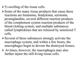 5) swelling of the tissue cells.
Some of the many tissue products that cause these
reactions are histamine, bradykinin, serotonin,
prostaglandins, several different reaction products
of the complement system reaction products of the
blood clotting system, and multiple substances
called lymphokines that are released by sensitized T
cells.
Several of these substances strongly activate the
macrophage system, and within a few hours, the
macrophages begin to devour the destroyed tissues.
 At times, however, the macrophages may also
further injure the still-living tissue cells.
 