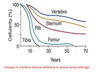 Changes in red bone marrow cellularity in various bones with age.
 