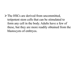 The HSCs are derived from uncommitted,
totipotent stem cells that can be stimulated to
form any cell in the body. Adults have a few of
these, but they are more readily obtained from the
blastocysts of embryos.
 