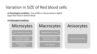 Microcyte Conditions Blood and its applied aspect related to oral health | PPTX