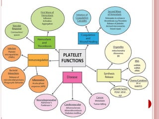 FUNCTIONS OF PLATELETS
 