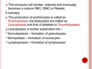  The immature cell divides, matures and eventually
becomes a mature RBC, WBC or Platelet.
It includes;
 The production of erythrocytes is called as
Erythropoiesis; the leukocytes are called as
Leucopoiesis and that of platelets is Thrombopoiesis.
 Leucopoiesis is further subdivided into –
* Granulopoiesis – formation of granulocytes
* Monopoiesis – formation of monocytes
* Lymphopoiesis – formation of lymphocytes
 