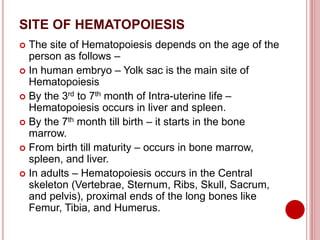 SITE OF HEMATOPOIESIS
 The site of Hematopoiesis depends on the age of the
person as follows –
 In human embryo – Yolk sac is the main site of
Hematopoiesis
 By the 3rd to 7th month of Intra-uterine life –
Hematopoiesis occurs in liver and spleen.
 By the 7th month till birth – it starts in the bone
marrow.
 From birth till maturity – occurs in bone marrow,
spleen, and liver.
 In adults – Hematopoiesis occurs in the Central
skeleton (Vertebrae, Sternum, Ribs, Skull, Sacrum,
and pelvis), proximal ends of the long bones like
Femur, Tibia, and Humerus.
 