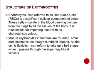 Blood(The Applied Physiology) for Nurses.pptx