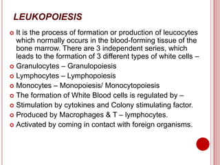 LEUKOPOIESIS
 It is the process of formation or production of leucocytes
which normally occurs in the blood-forming tissue of the
bone marrow. There are 3 independent series, which
leads to the formation of 3 different types of white cells –
 Granulocytes – Granulopoiesis
 Lymphocytes – Lymphopoiesis
 Monocytes – Monopoiesis/ Monocytopoiesis
 The formation of White Blood cells is regulated by –
 Stimulation by cytokines and Colony stimulating factor.
 Produced by Macrophages & T – lymphocytes.
 Activated by coming in contact with foreign organisms.
 