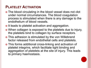 PLATELET ACTIVATION
 The blood circulating in the blood vessel does not clot
under normal circumstances. The blood coagulation
process is stimulated when there is any damage to the
endothelium of blood vessels.
 It leads to platelet activation and aggregation.
 When collagen is exposed to the platelets due to injury,
the platelets bind to collagen by surface receptors.
 This adhesion is stimulated by the von Willebrand
factor released from endothelial cells and platelets.
 This forms additional cross-linking and activation of
platelet integrins, which facilitate tight binding and
aggregation of platelets at the site of injury. This leads
to primary haemostasis.
 