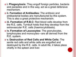  i. Phagocytosis: They engulf foreign particles, bacteria
and parasites and in this way, act as a great defensive
mechanism.
 ii. Formation of Antibodies: The antitoxic and
antibacterial bodies are manufactured by this system.
This is also a great protective mechanism.
 iii. Formation of R.B.C: Red blood cells develop from
the R.E. cells. Turnbull holds that they develop from the
extravascular R.E. cells (haemocytoblasts).
 iv. Formation of Leucocytes: The granulocytes,
lymphocytes and monocytes—are all derived from the
R.E. system.
 v. Destruction of Red Cells and White Cells: The
senile red cells and white cells are engulfed and
destroyed by the R.E. cells. In adult life, it takes place
chiefly in the spleen and liver.
 