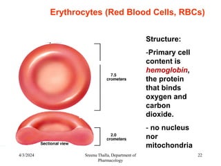 Rbc Contents composition and functions of Blood physiology | PPT