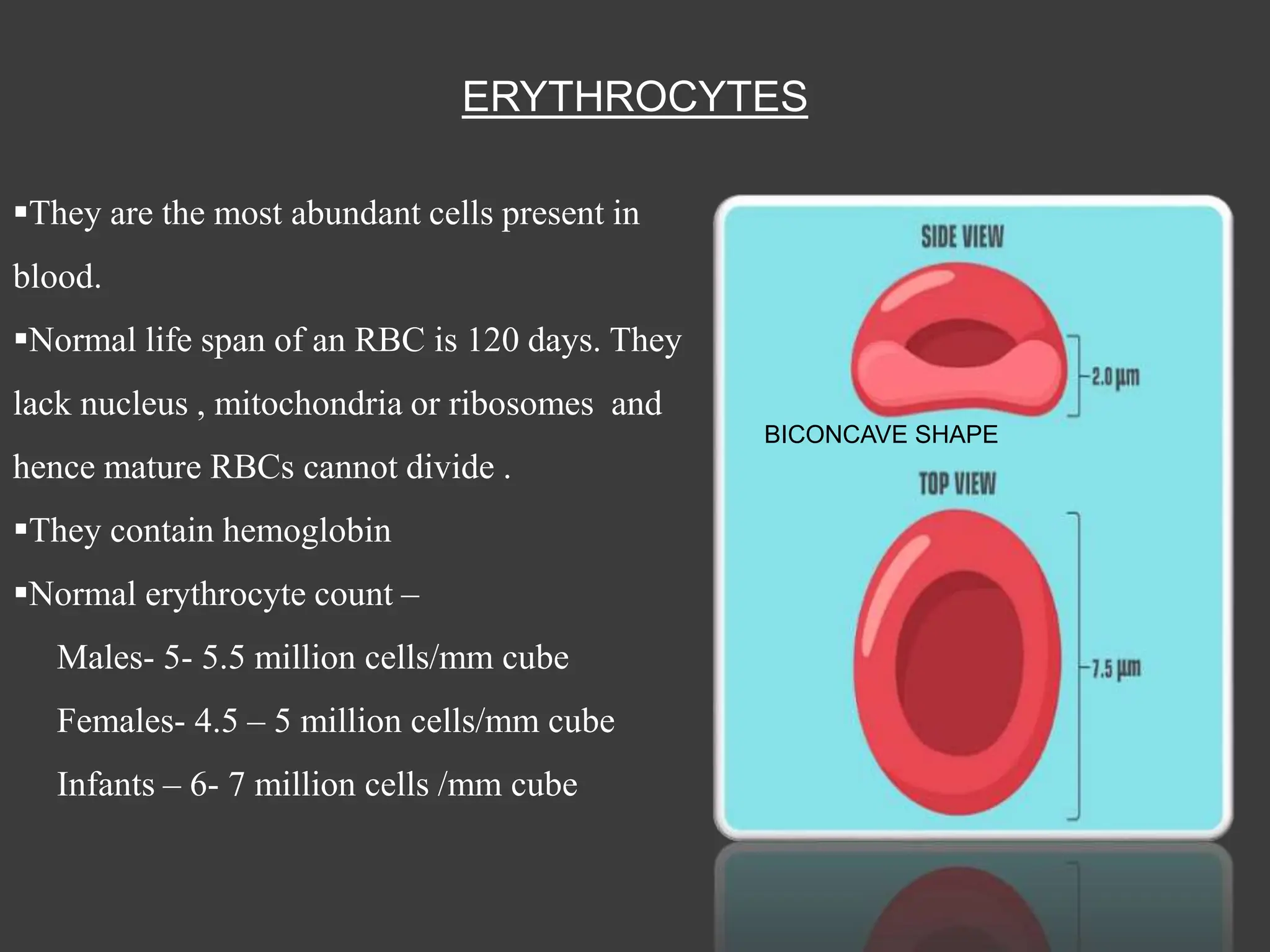 BLOOD physiology and pathology slides ppt | PPTX