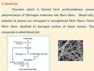 3. Blood Clot
Thrombin which is formed form prothrombinase causes
polymerization of fibrinogen molecules into fibrin fibers. Blood cells,
platelets & plasma are entrapped in strengthened fibrin fibers. These
fibrin fibers attached to damaged surface of blood vessels. This
composite is called blood clot.
 