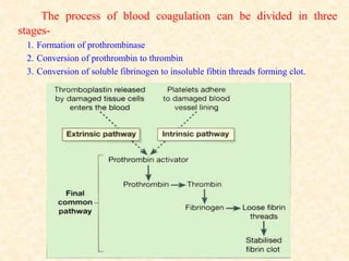 The process of blood coagulation can be divided in three
stages-
1. Formation of prothrombinase
2. Conversion of prothrombin to thrombin
3. Conversion of soluble fibrinogen to insoluble fibtin threads forming clot.
 