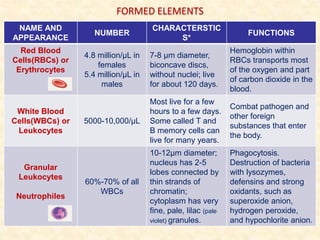 FORMED ELEMENTS
NAME AND
APPEARANCE
NUMBER
CHARACTERSTIC
S*
FUNCTIONS
Red Blood
Cells(RBCs) or
Erythrocytes
4.8 million/µL in
females
5.4 million/µL in
males
7-8 µm diameter,
biconcave discs,
without nuclei; live
for about 120 days.
Hemoglobin within
RBCs transports most
of the oxygen and part
of carbon dioxide in the
blood.
White Blood
Cells(WBCs) or
Leukocytes
5000-10,000/µL
Most live for a few
hours to a few days.
Some called T and
B memory cells can
live for many years.
Combat pathogen and
other foreign
substances that enter
the body.
Granular
Leukocytes
Neutrophiles
60%-70% of all
WBCs
10-12µm diameter;
nucleus has 2-5
lobes connected by
thin strands of
chromatin;
cytoplasm has very
fine, pale, lilac (pale
violet) granules.
Phagocytosis.
Destruction of bacteria
with lysozymes,
defensins and strong
oxidants, such as
superoxide anion,
hydrogen peroxide,
and hypochlorite anion.
 