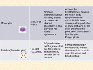 Monocytes
3-8% of all
WBCs
12-20µm
diameter; nucleus
is kidney shaped
or horseshoe
shaped.
Cytoplasm is blue-
grey and has
foamy
appearance.
Acts on the
hypothalamus, causing
the rise in body
temperature with
microbial infections;
stimulates the production
of some globulins by the
liver; enhances the
production of activated T-
lymphocytes;
Phagocytosis
Platelets(Thrombocytes)
150,000-
400,000/µL
2-3µm diameter
cell fragments that
live for 5-9days;
contains many
vesicles but no
nucleus.
Form platelet plug in
homeostasis; release
chemicals that promote
vascular spasm and
blood clotting.
 