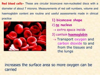 Red blood cells- These are circular biconcave non-nucleated discs with a
diameter of about 7 microns. Measurements of red cell numbers, volume and
haemoglobin content are routine and useful assessments made in clinical
practice
1) biconcave shape
2) no nucleus
 extra space inside
3) contain haemoglobin
 Transport oxygen and
carbon dioxide to and
from the tissues and
the lungs
increases the surface area so more oxygen can be
carried
 