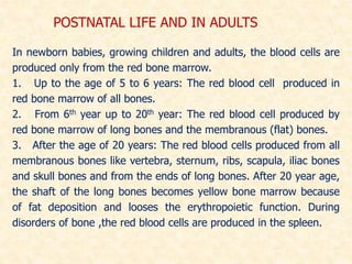 POSTNATAL LIFE AND IN ADULTS
In newborn babies, growing children and adults, the blood cells are
produced only from the red bone marrow.
1. Up to the age of 5 to 6 years: The red blood cell produced in
red bone marrow of all bones.
2. From 6th year up to 20th year: The red blood cell produced by
red bone marrow of long bones and the membranous (flat) bones.
3. After the age of 20 years: The red blood cells produced from all
membranous bones like vertebra, sternum, ribs, scapula, iliac bones
and skull bones and from the ends of long bones. After 20 year age,
the shaft of the long bones becomes yellow bone marrow because
of fat deposition and looses the erythropoietic function. During
disorders of bone ,the red blood cells are produced in the spleen.
 