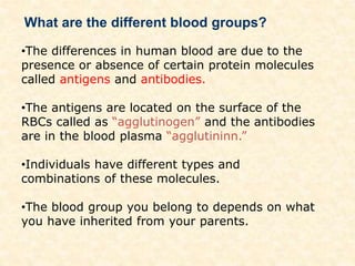 •The differences in human blood are due to the
presence or absence of certain protein molecules
called antigens and antibodies.
•The antigens are located on the surface of the
RBCs called as “agglutinogen” and the antibodies
are in the blood plasma “agglutininn.”
•Individuals have different types and
combinations of these molecules.
•The blood group you belong to depends on what
you have inherited from your parents.
What are the different blood groups?
 