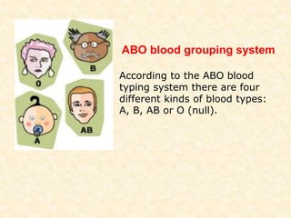 According to the ABO blood
typing system there are four
different kinds of blood types:
A, B, AB or O (null).
ABO blood grouping system
 