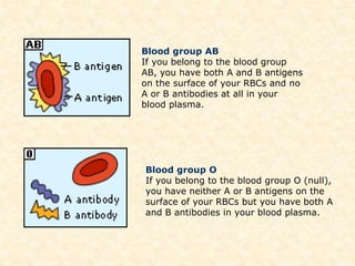 Blood group AB
If you belong to the blood group
AB, you have both A and B antigens
on the surface of your RBCs and no
A or B antibodies at all in your
blood plasma.
Blood group O
If you belong to the blood group O (null),
you have neither A or B antigens on the
surface of your RBCs but you have both A
and B antibodies in your blood plasma.
 