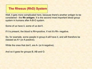 Well, it gets more complicated here, because there's another antigen to be
considered - the Rh antigen. It is the second most important blood group
system in humans after A-B-O system.
Some of us have it, some of us don't.
If it is present, the blood is Rh+positive, if not it's Rh- negative.
So, for example, some people in group A will have it, and will therefore be
classed as A+ (or A positive).
While the ones that don't, are A- (or A negative).
And so it goes for groups B, AB and O.
The Rhesus (RhD) System
 