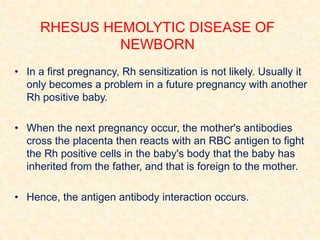 • In a first pregnancy, Rh sensitization is not likely. Usually it
only becomes a problem in a future pregnancy with another
Rh positive baby.
• When the next pregnancy occur, the mother's antibodies
cross the placenta then reacts with an RBC antigen to fight
the Rh positive cells in the baby's body that the baby has
inherited from the father, and that is foreign to the mother.
• Hence, the antigen antibody interaction occurs.
RHESUS HEMOLYTIC DISEASE OF
NEWBORN
 